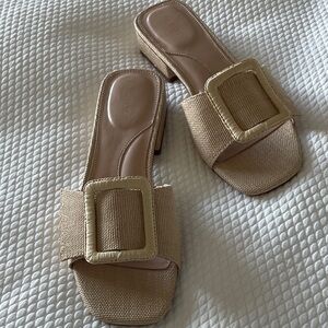 Talbots Women's Brown Mules with Buckle 8 1/2
